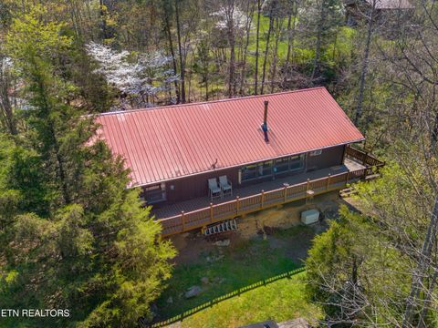 Photo of 158 Dalson Rd, Eidson, TN 37731 (MLS # 1337569)