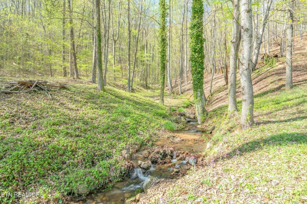 Photo of 660 W Hills Drive, Harriman, TN 37748 (MLS # 1297360)