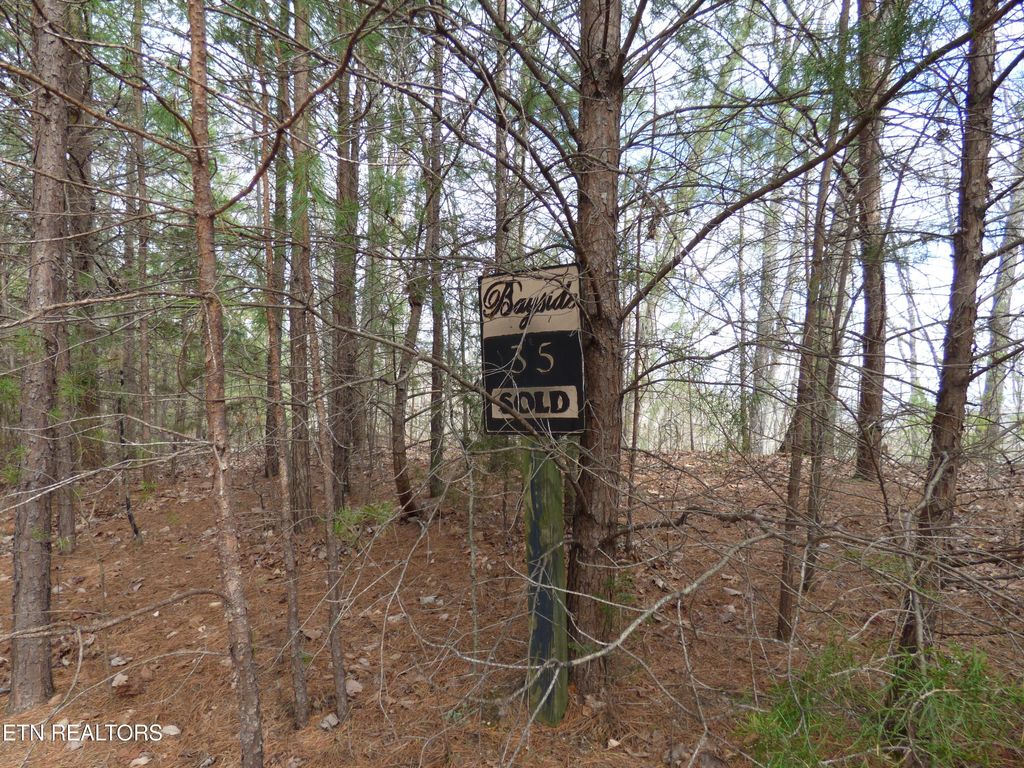 Photo of Bayside Blvd #Lot 35, Bean Station, TN 37708 (MLS # 1331303)