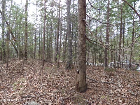 Tiny photo for Bayside Blvd #Lot 35, Bean Station, TN 37708 (MLS # 1331303)