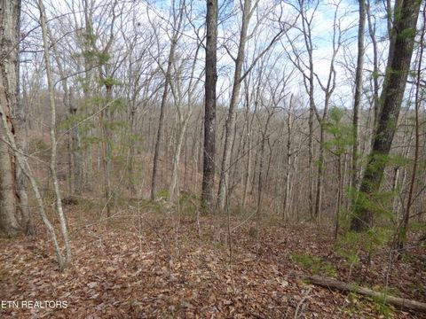 Tiny photo for Bayside Blvd #Lot 35, Bean Station, TN 37708 (MLS # 1331303)