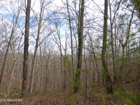 Tiny photo for Bayside Blvd #Lot 35, Bean Station, TN 37708 (MLS # 1331303)