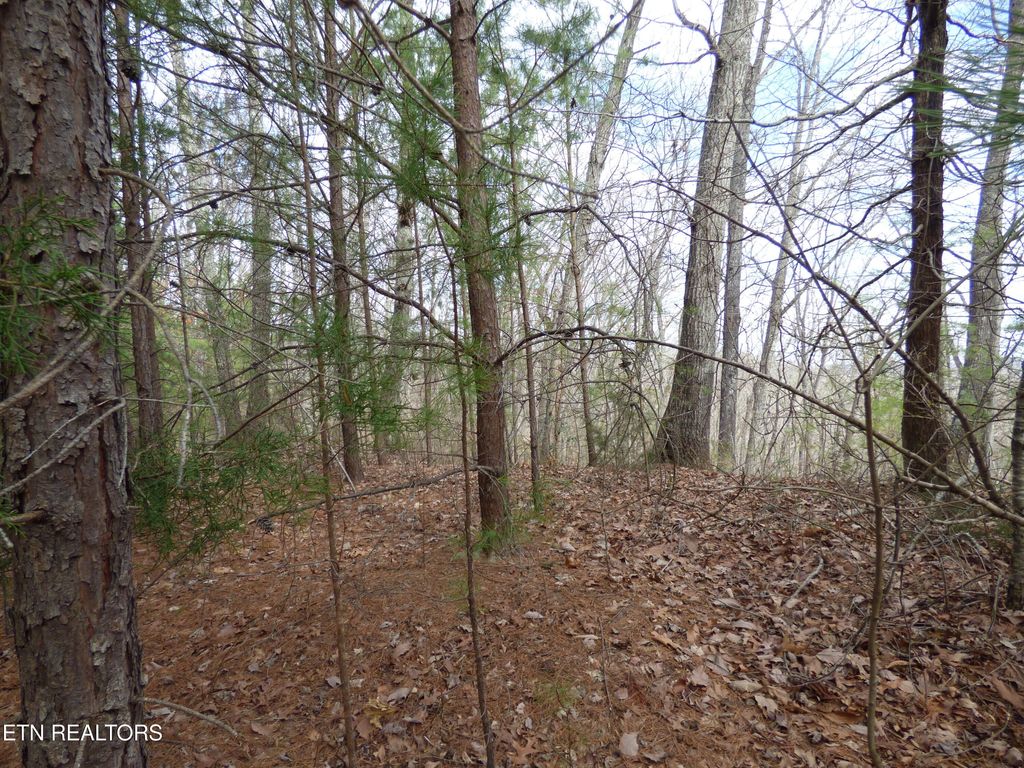 Photo of Bayside Blvd #Lot 35, Bean Station, TN 37708 (MLS # 1331303)