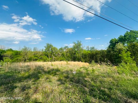 Tiny photo for 26 Ritz View Dr, Blaine, TN 37709 (MLS # 1337289)