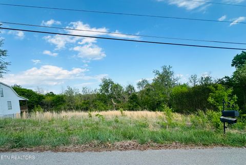 Tiny photo for 26 Ritz View Dr, Blaine, TN 37709 (MLS # 1337289)