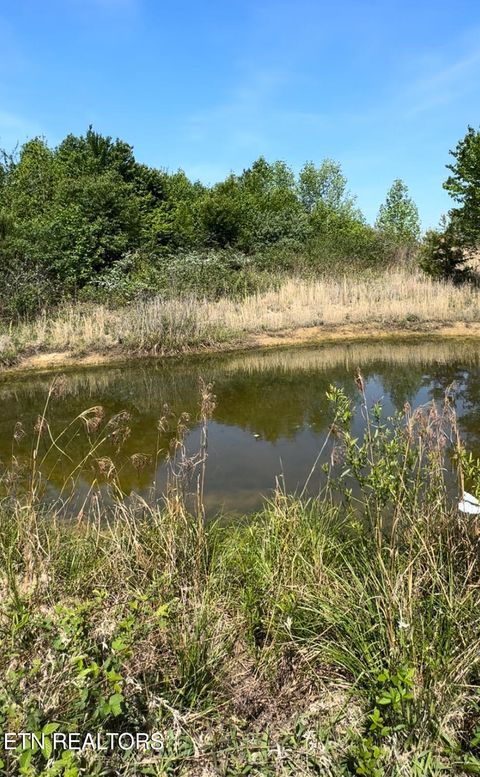 Tiny photo for Coon Hollow Rd, Sunbright, TN 37872 (MLS # 1338265)