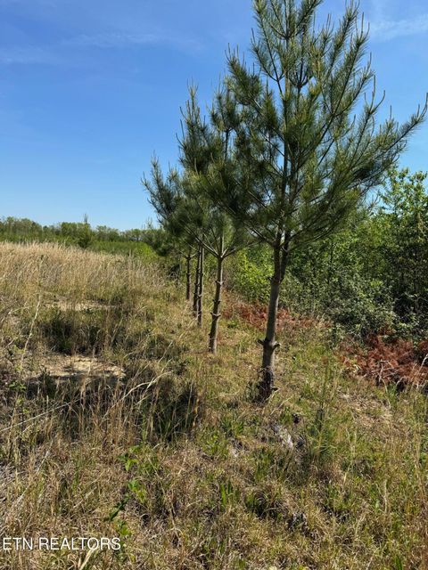 Tiny photo for Coon Hollow Rd, Sunbright, TN 37872 (MLS # 1338265)