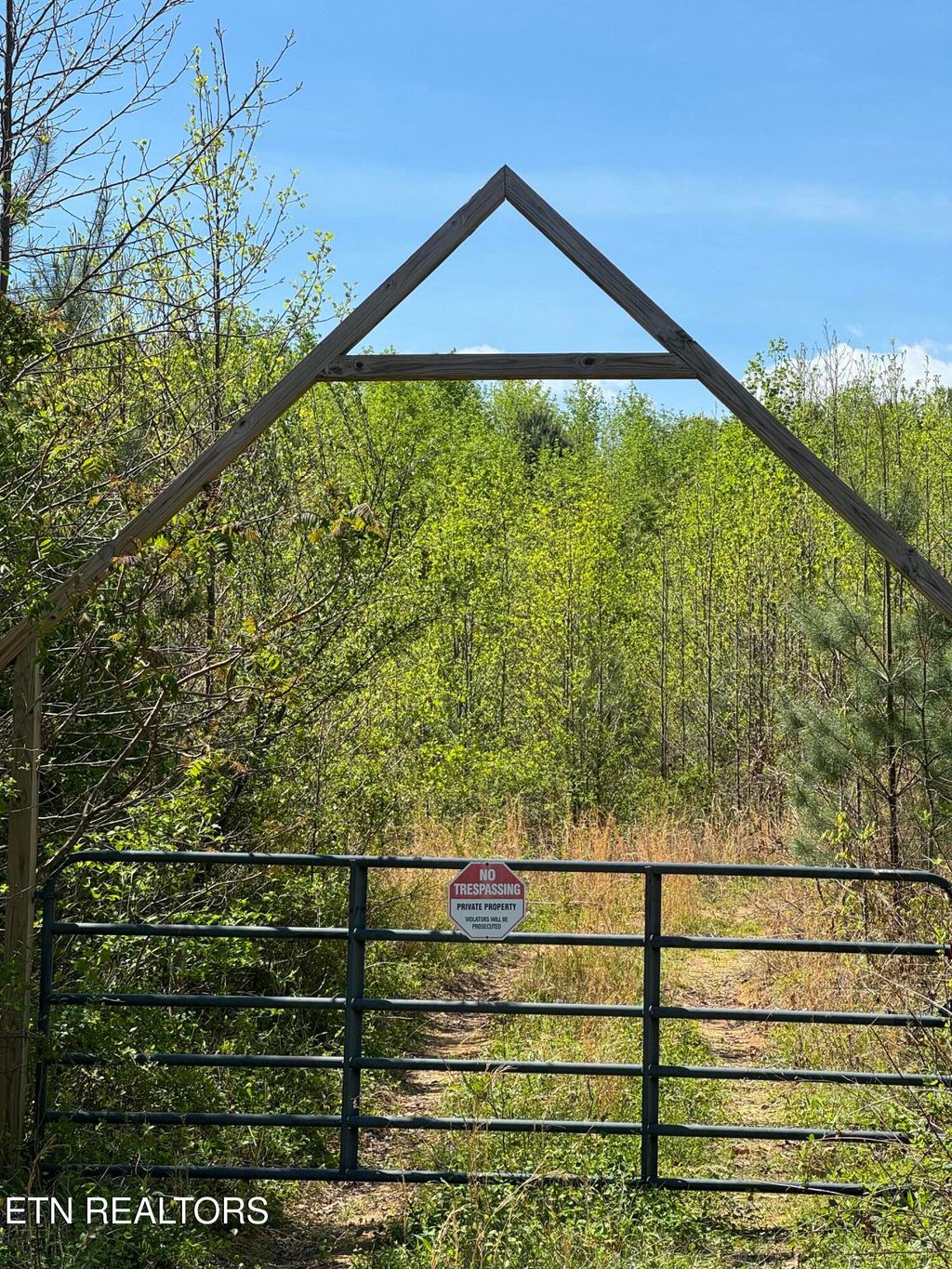 Photo of Coon Hollow Rd, Sunbright, TN 37872 (MLS # 1338265)