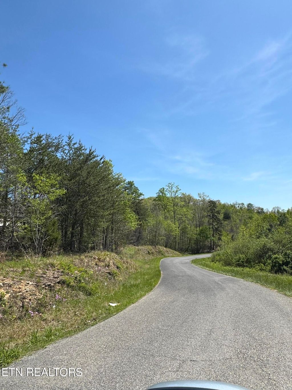 Photo of Coon Hollow Rd, Sunbright, TN 37872 (MLS # 1338265)