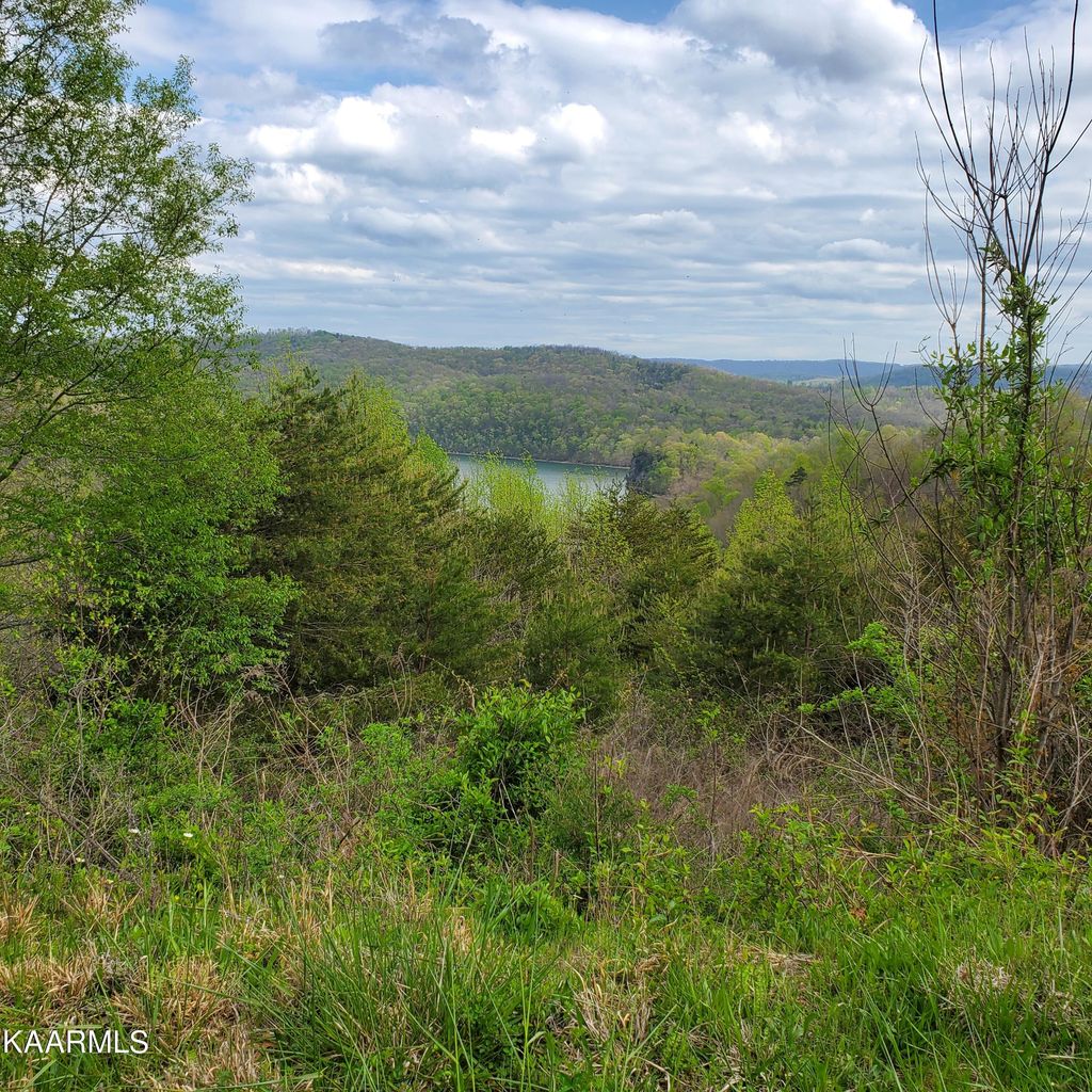 Photo of 714 Whistle Valley Rd, New Tazewell, TN 37825 (MLS # 1191558)
