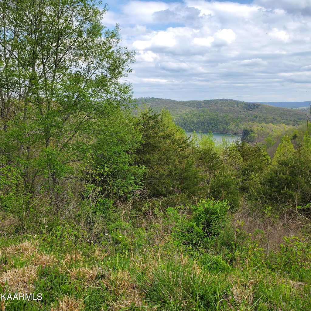 Photo of 714 Whistle Valley Rd, New Tazewell, TN 37825 (MLS # 1191558)