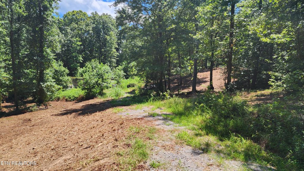 Photo of 375 Goins Hill Road, Ten Mile, TN 37880 (MLS # 1311726)