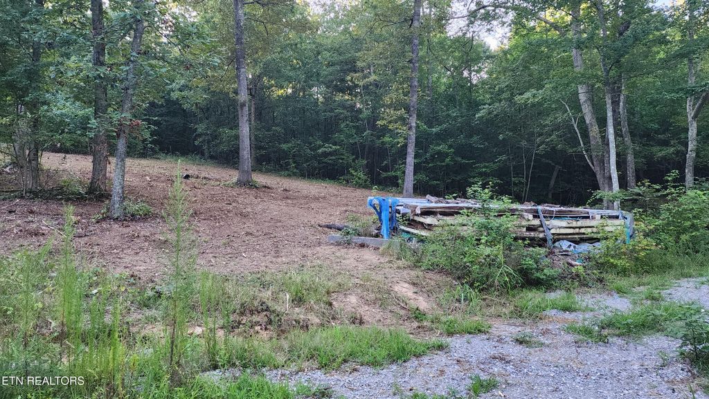 Photo of 375 Goins Hill Road, Ten Mile, TN 37880 (MLS # 1311726)
