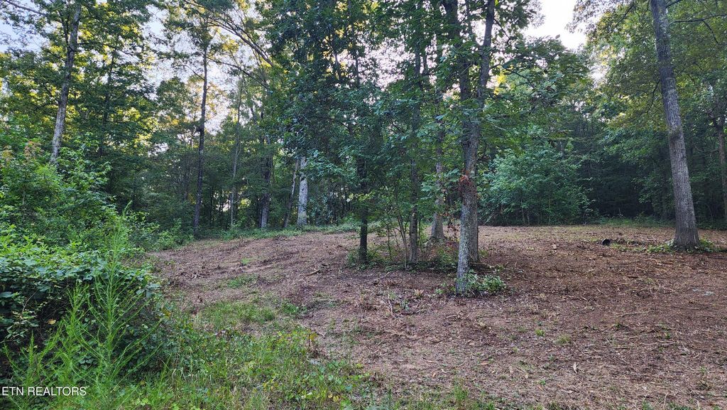 Photo of 375 Goins Hill Road, Ten Mile, TN 37880 (MLS # 1311726)