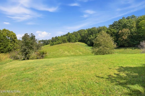 Tiny photo for 1010 Brushy Valley Rd, Heiskell, TN 37754 (MLS # 1355828)