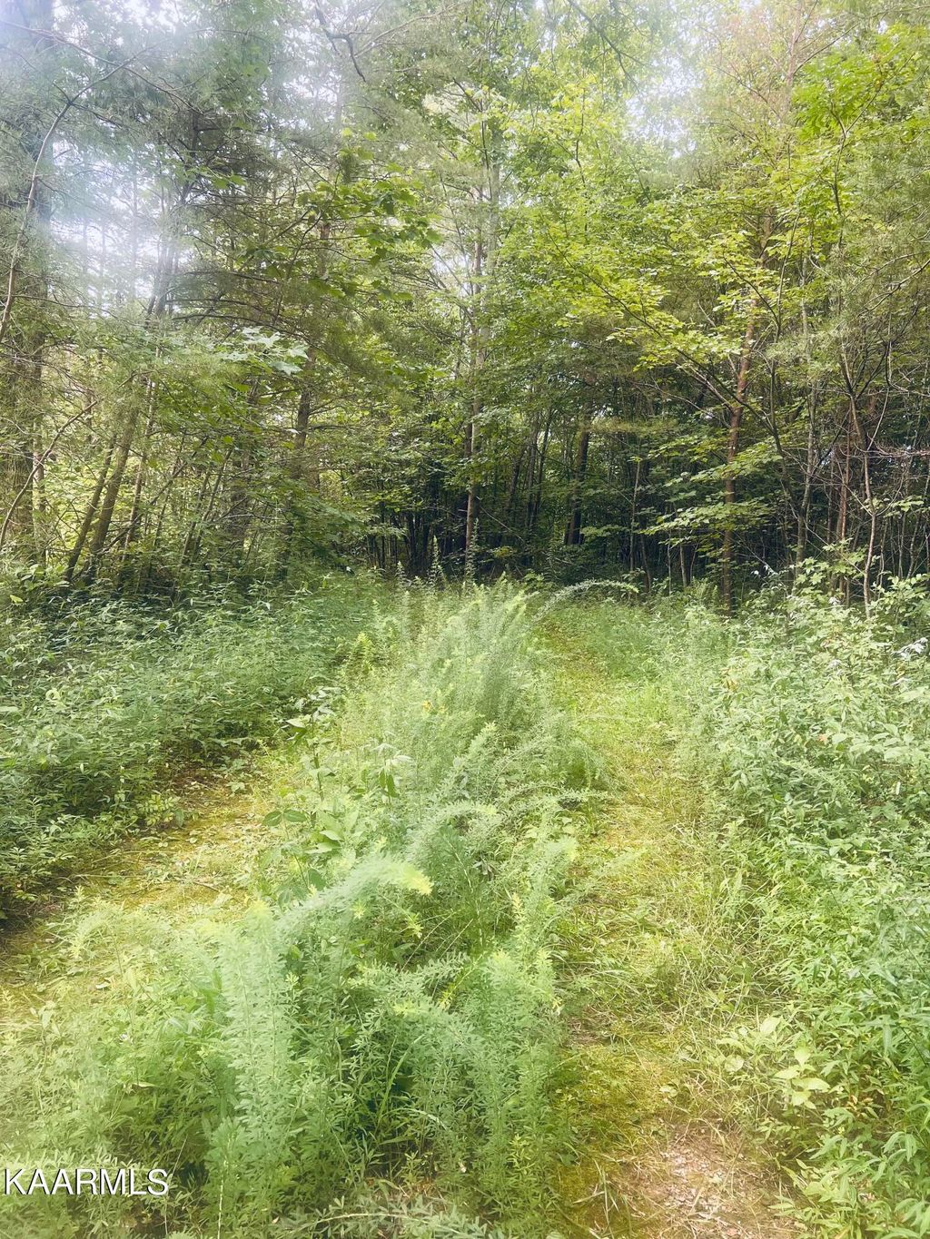 Photo of 310 Unicoi Lakes Rd, Tellico Plains, TN 37385 (MLS # 1235720)