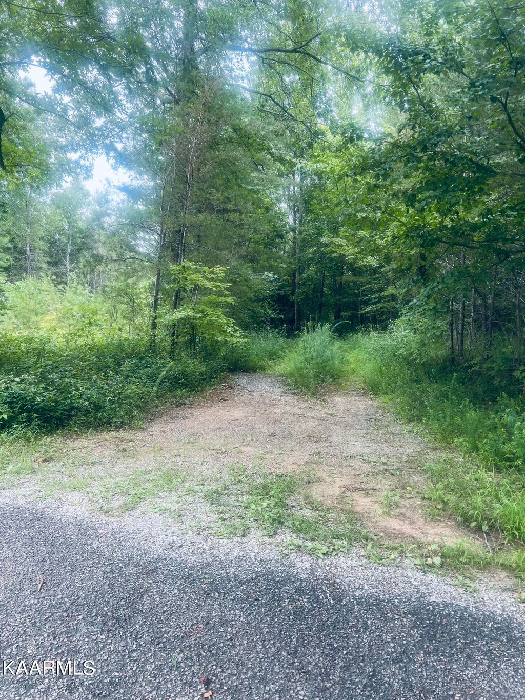 Photo of 310 Unicoi Lakes Rd, Tellico Plains, TN 37385 (MLS # 1235720)