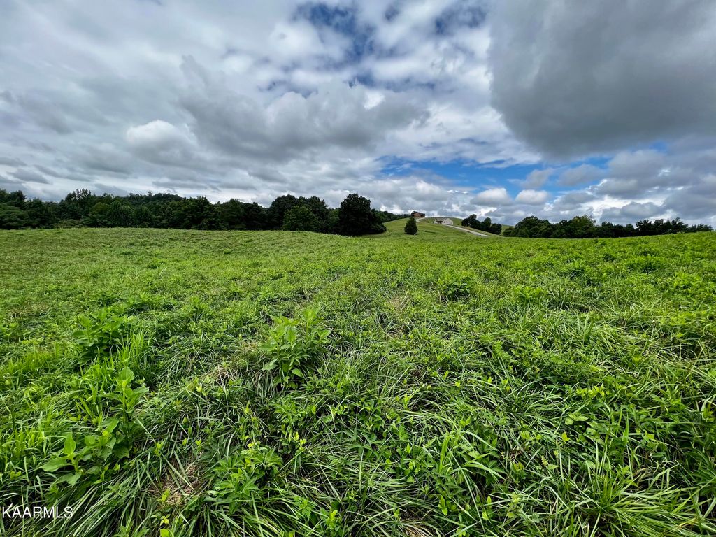 Photo of 133 Cinnabar Drive, New Tazewell, TN 37825 (MLS # 1199400)