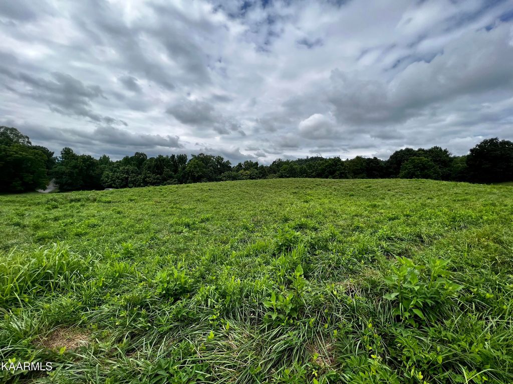 Photo of 133 Cinnabar Drive, New Tazewell, TN 37825 (MLS # 1199400)