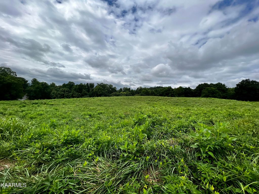 Photo of 133 Cinnabar Drive, New Tazewell, TN 37825 (MLS # 1199400)