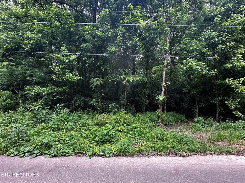 Photo of 945 Mccubbins Rd, Strawberry Plains, TN 37871 (MLS # 1303077)