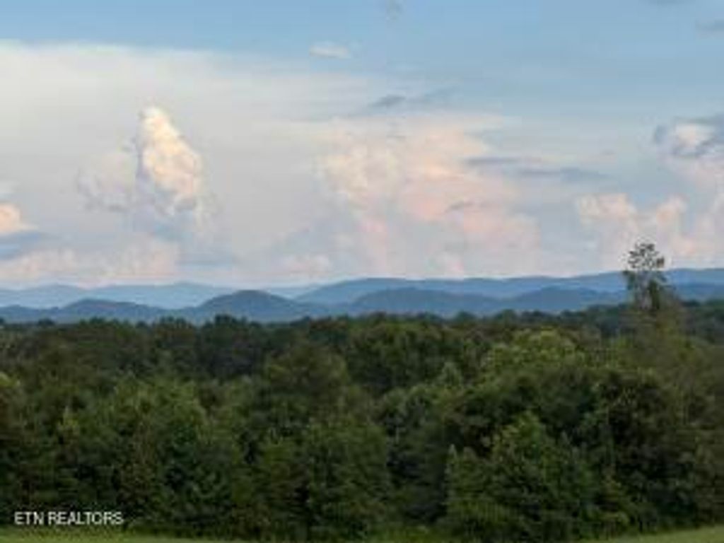 Photo of 705 County Road 446, Athens, TN 37303 (MLS # 1314657)