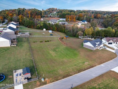 Photo of Melford Drive, Strawberry Plains, TN 37871 (MLS # 1320713)