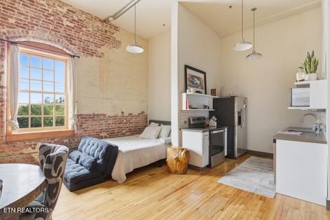 Tiny photo for N 222 North Central Street St #306, Knoxville, TN 37917 (MLS # 1318569)