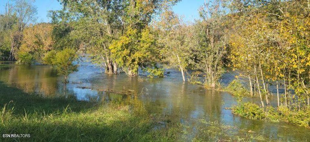 Photo of 8 Holston Shores Drive, Rutledge, TN 37861 (MLS # 1328507)