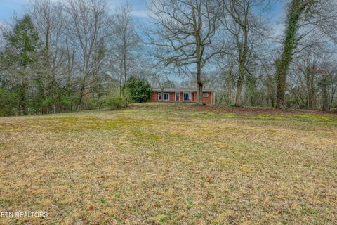 Tiny photo for 1308 Lawnville Rd, Kingston, TN 37763 (MLS # 1332428)