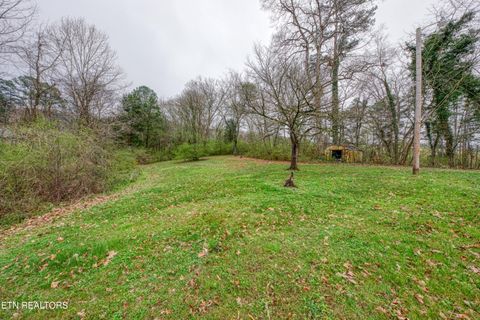 Tiny photo for 1308 Lawnville Rd, Kingston, TN 37763 (MLS # 1332428)