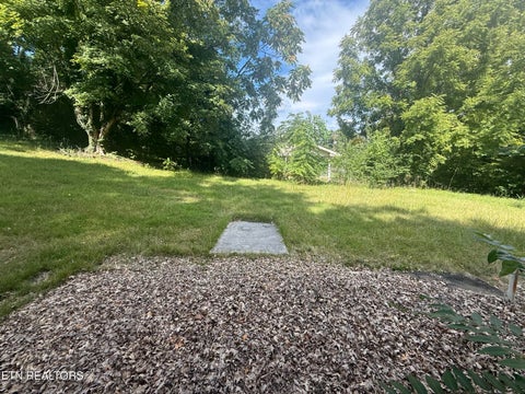 Tiny photo for 213 Northwestern Ave, Oak Ridge, TN 37830 (MLS # 1350769)