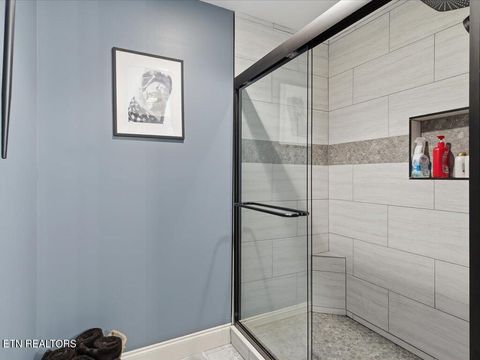 Tiny photo for 1077 Bartlett Drive, Jefferson City, TN 37760 (MLS # 1328044)