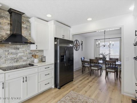 Tiny photo for 1077 Bartlett Drive, Jefferson City, TN 37760 (MLS # 1328044)