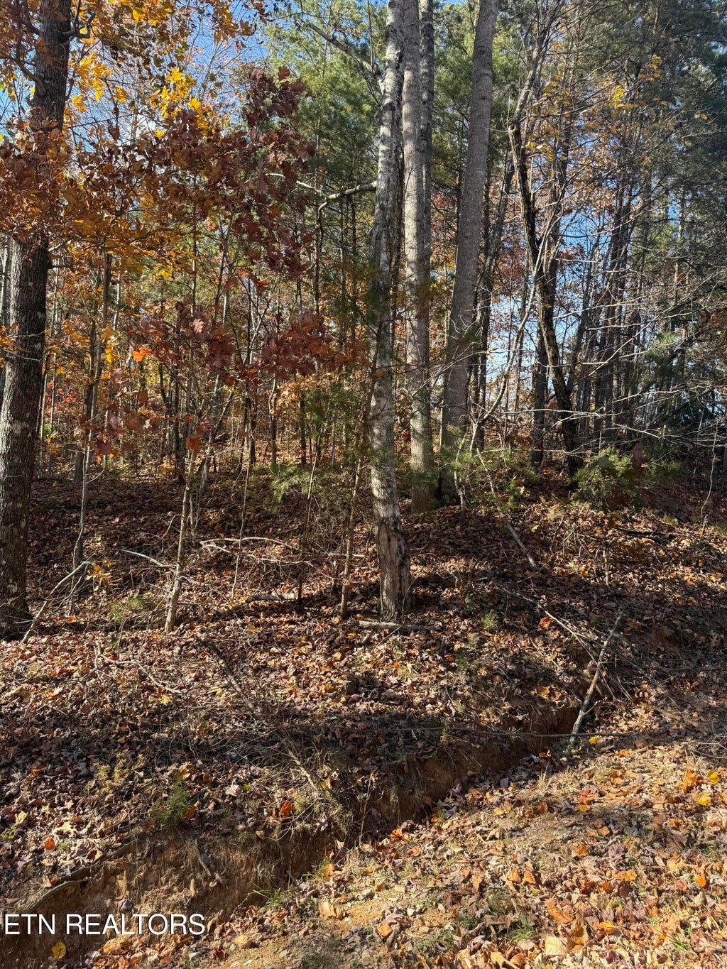 Photo of Scenic Woods Way, Sevierville, TN 37876 (MLS # 1353805)