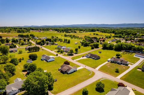 Tiny photo for 5445 Evergreen Farms LN, Greenback, TN 37742 (MLS # 1341106)