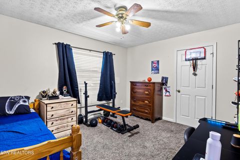 Tiny photo for 5445 Evergreen Farms LN, Greenback, TN 37742 (MLS # 1341106)