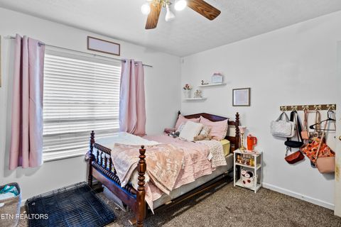 Tiny photo for 5445 Evergreen Farms LN, Greenback, TN 37742 (MLS # 1341106)