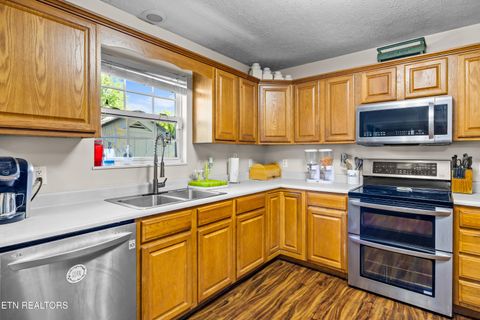 Tiny photo for 5445 Evergreen Farms LN, Greenback, TN 37742 (MLS # 1341106)
