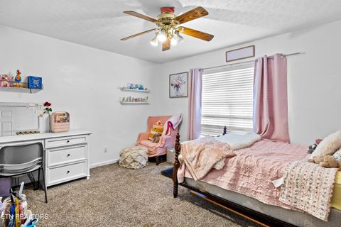 Tiny photo for 5445 Evergreen Farms LN, Greenback, TN 37742 (MLS # 1341106)
