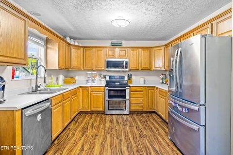 Tiny photo for 5445 Evergreen Farms LN, Greenback, TN 37742 (MLS # 1341106)