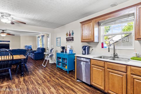 Tiny photo for 5445 Evergreen Farms LN, Greenback, TN 37742 (MLS # 1341106)