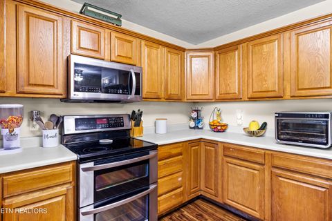 Tiny photo for 5445 Evergreen Farms LN, Greenback, TN 37742 (MLS # 1341106)