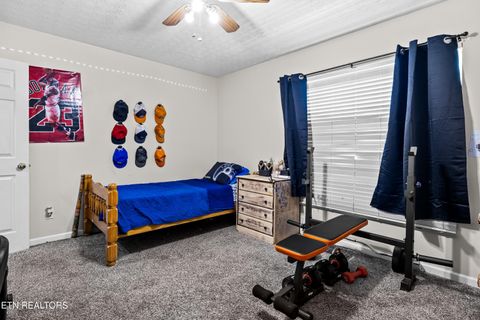 Tiny photo for 5445 Evergreen Farms LN, Greenback, TN 37742 (MLS # 1341106)
