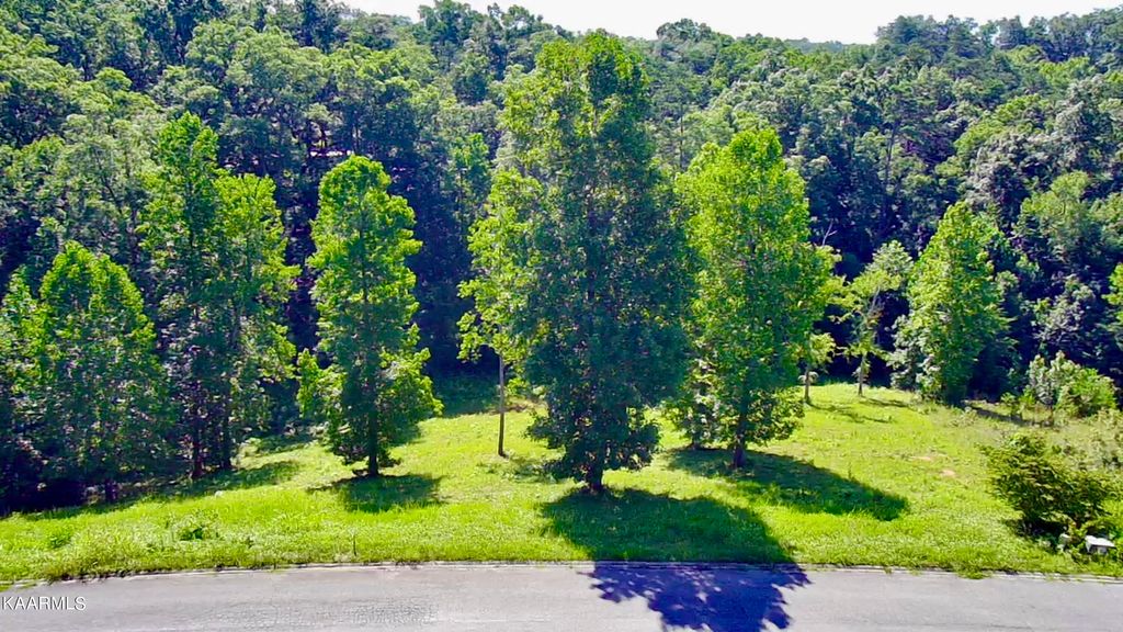 Photo of Cypress Drive, Dandridge, TN 37725 (MLS # 1235066)