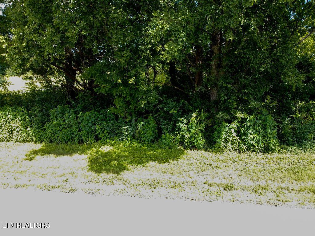 Photo of 158 County Road 436, Athens, TN 37303 (MLS # 1339709)