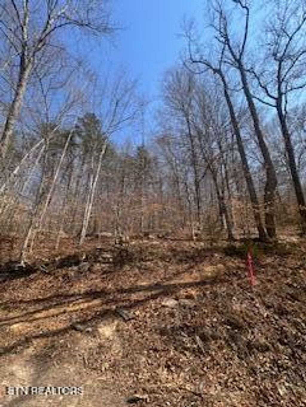 Photo of 0 Swan Seymour Rd, Maynardville, TN 37807 (MLS # 1294877)