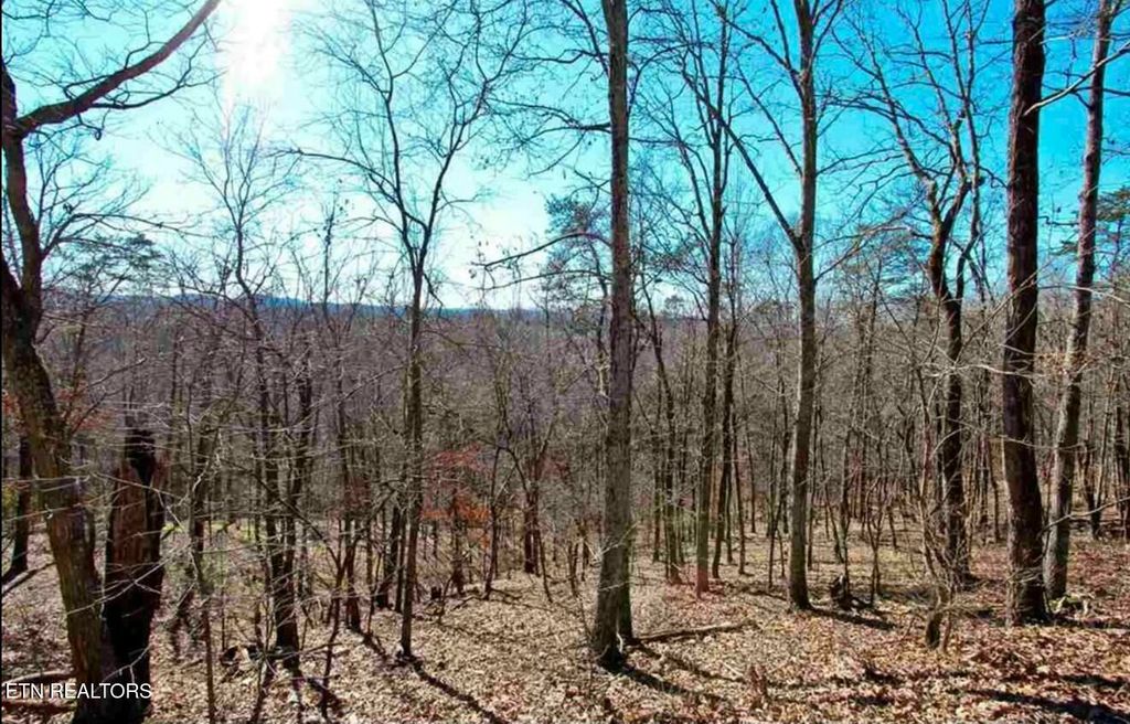 Photo of 1410 Echota Lane, Mooresburg, TN 37811 (MLS # 1292043)