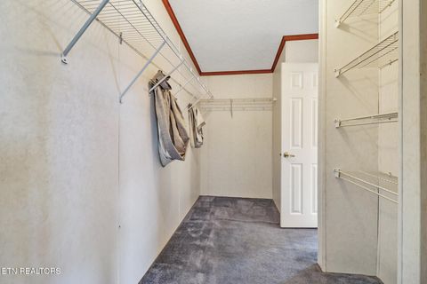 Tiny photo for 505 Trentham Rd, Spring City, TN 37381 (MLS # 1329463)