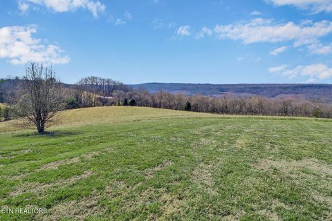 Tiny photo for 505 Trentham Rd, Spring City, TN 37381 (MLS # 1329463)